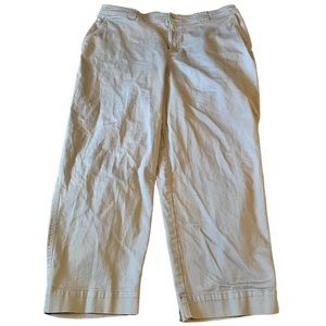 A new day Size 16W Ankle Pants